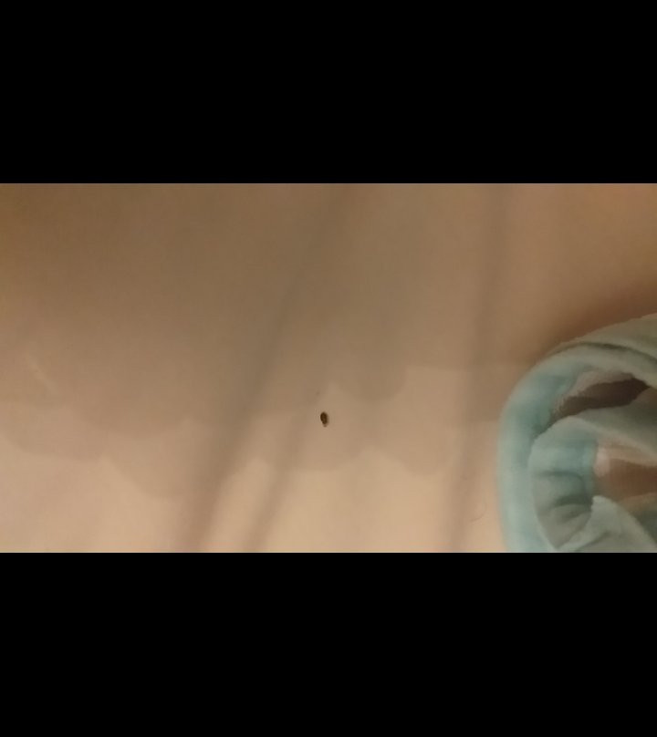 Hotel Baruk Hacienda Spa Zacatecas主图