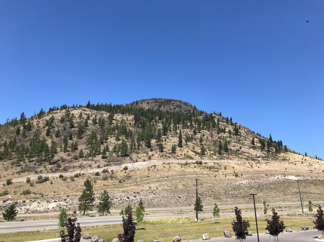 Best Western Plus Merritt Hotel主图