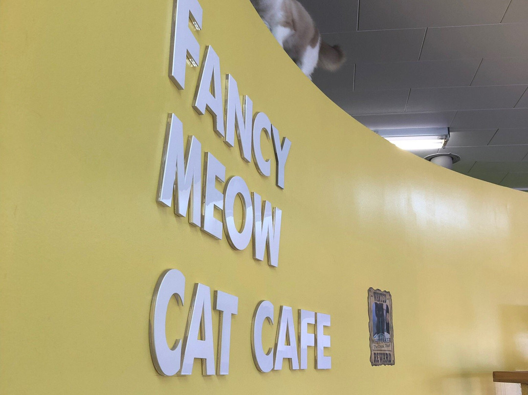 Fancy Meow Cat Cafe景点图片