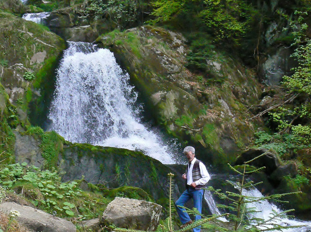 Triberger Waterfall景点图片