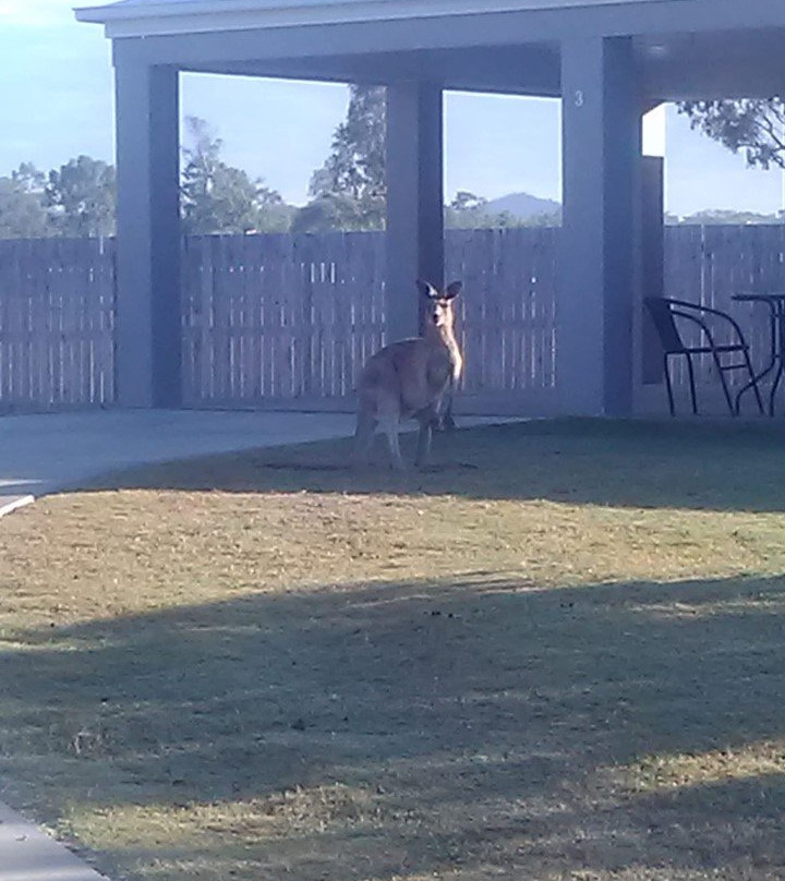 Casa Nostra Motel主图