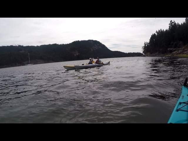 Gulf Island Kayaking景点图片