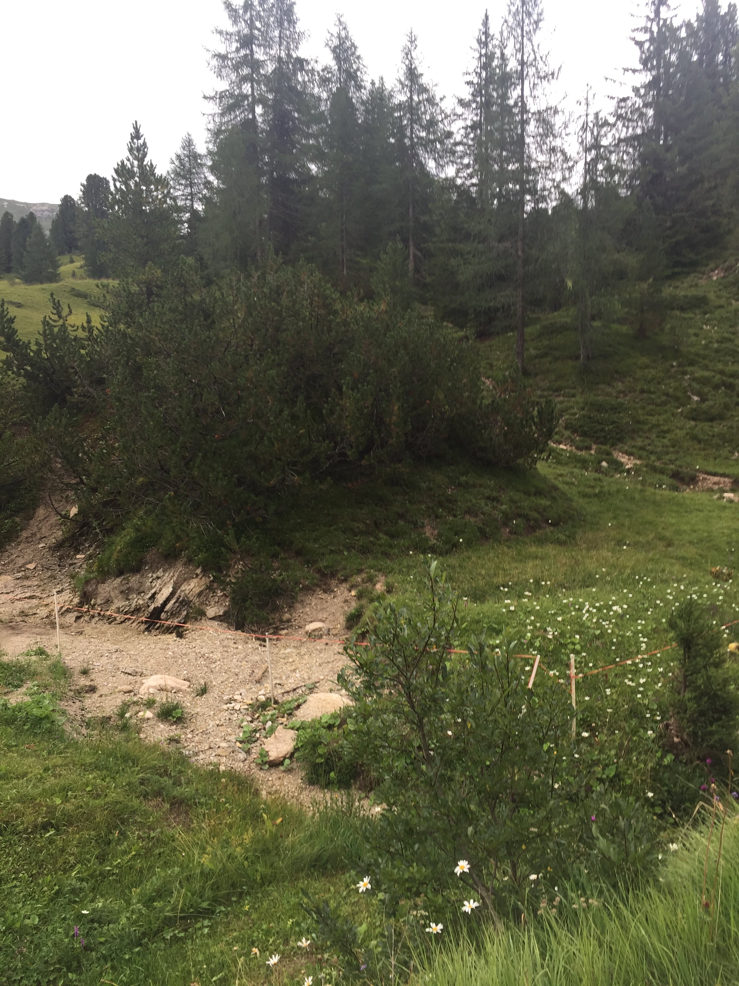 Hotel Hohe Gaisl-官方