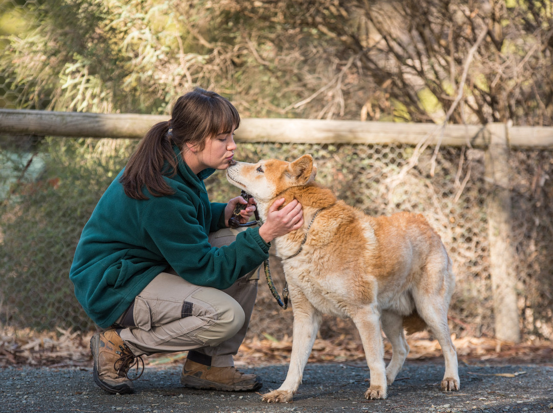 Kyabram Fauna Park-Kyabram必去景点