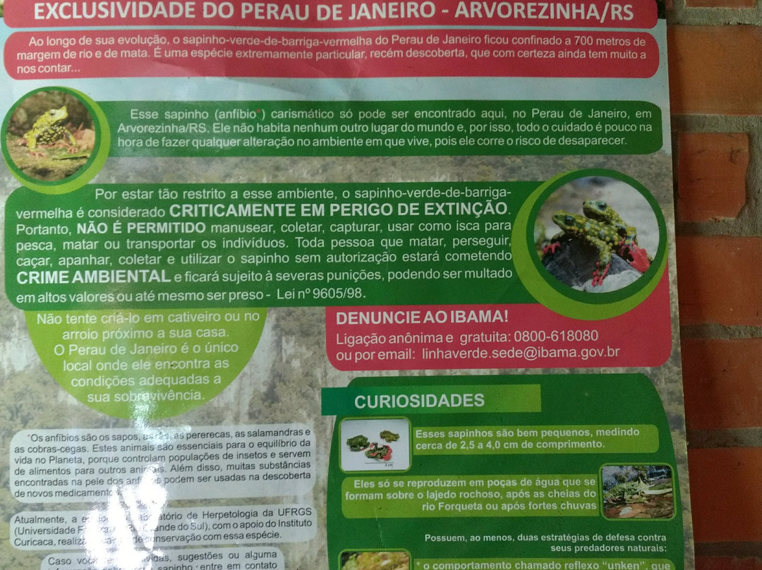 Perau De Janeiro-Arvorezinha必去景点