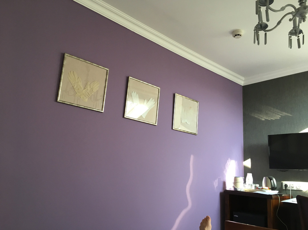Boutique Hotel Szarcsa主图