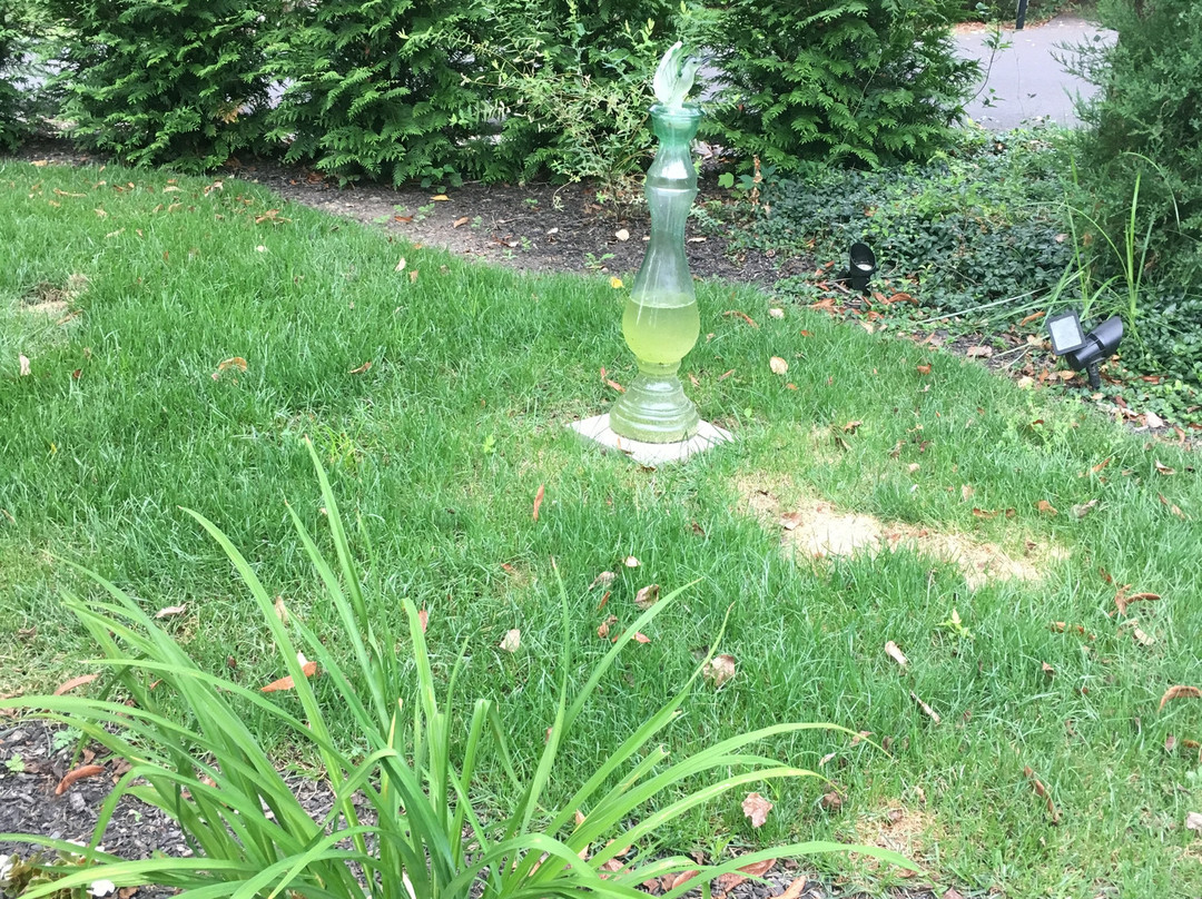 Pineapple Hill Inn Bed & Breakfast主图