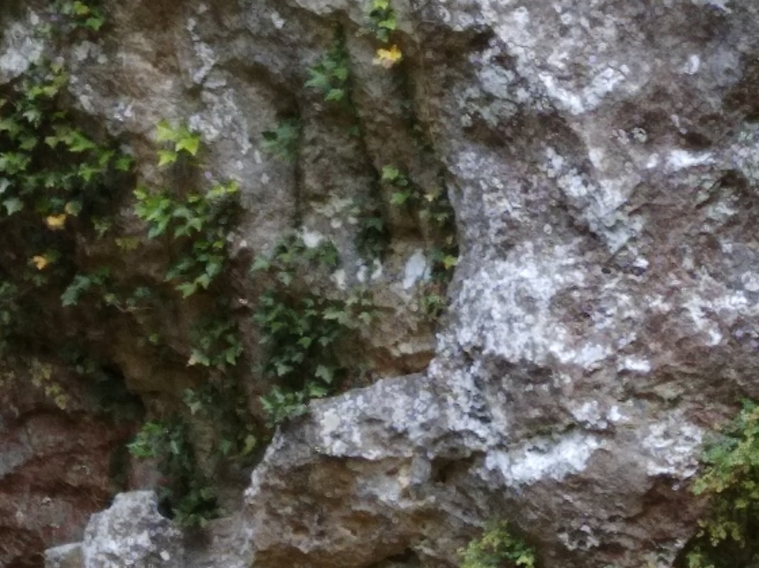 Ponte de Veja景点图片
