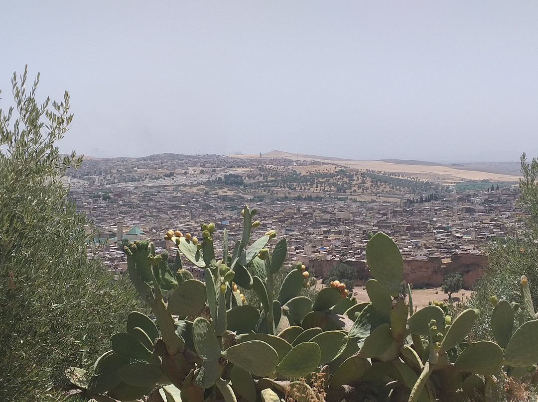 勒斯梅尼德斯酒店主图