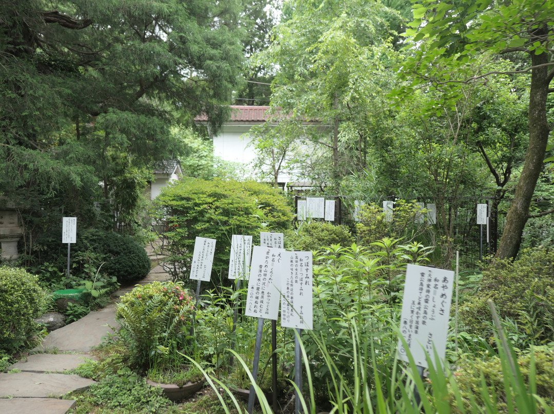 Manyo Botanical Garden-国分寺市必去景点