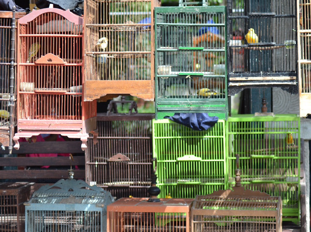 Yogyakarta Bird Market-日惹必去景点