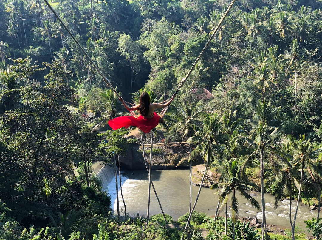 My Swing Bali - Bali Swing景点图片