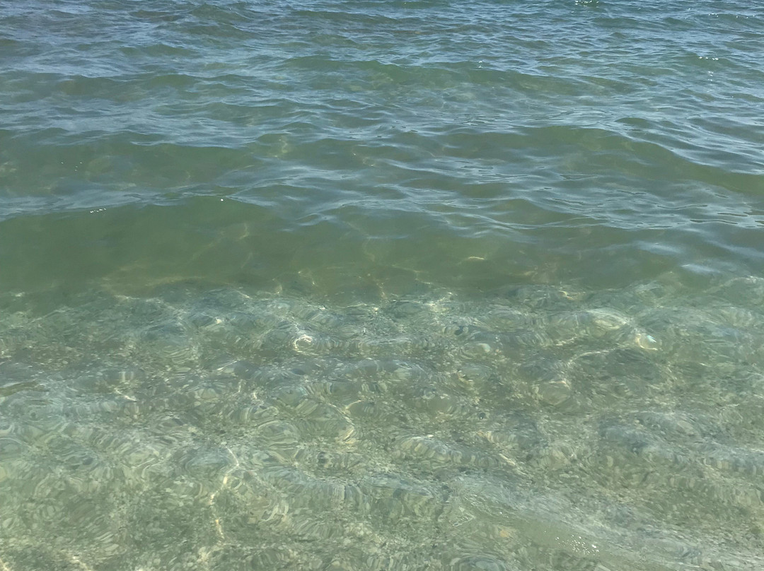 Spiaggia Libera Lido di Classe景点图片