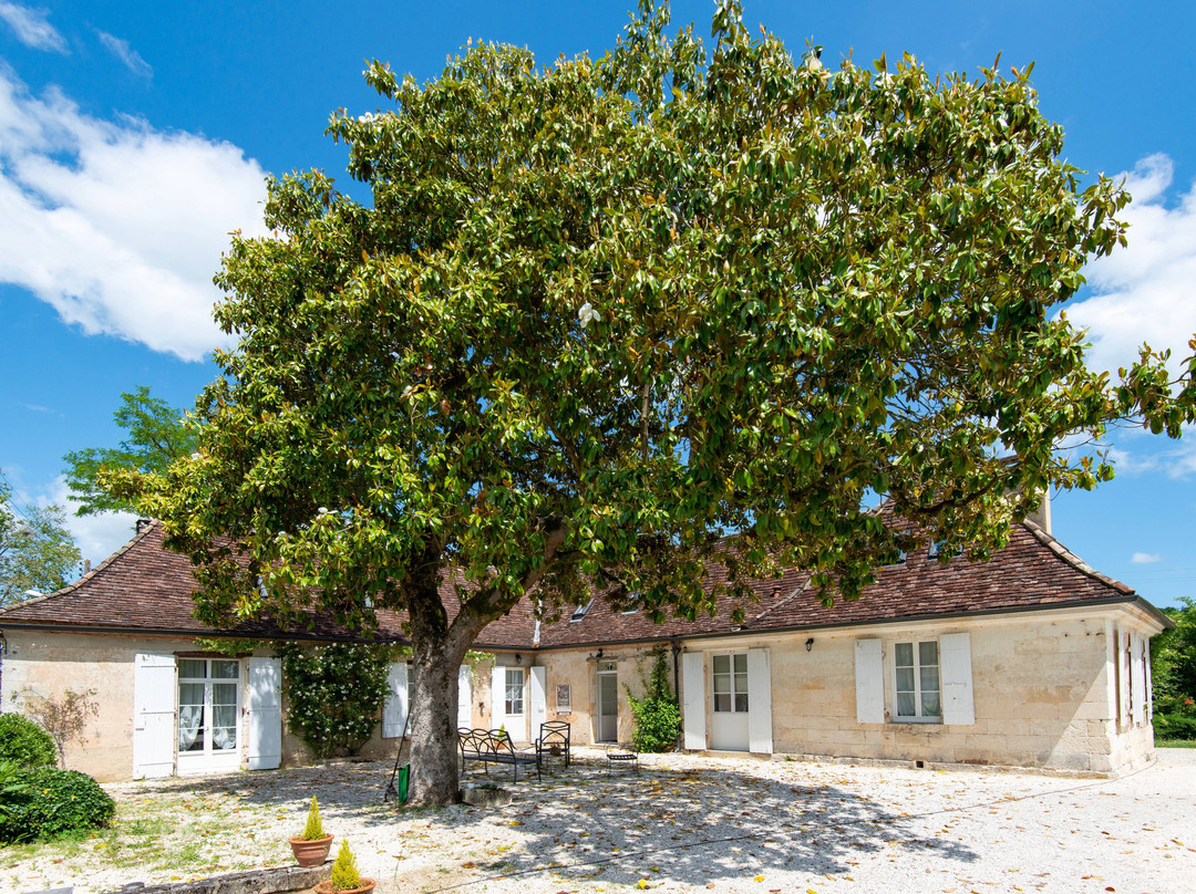 Ostal de Pombonne主图