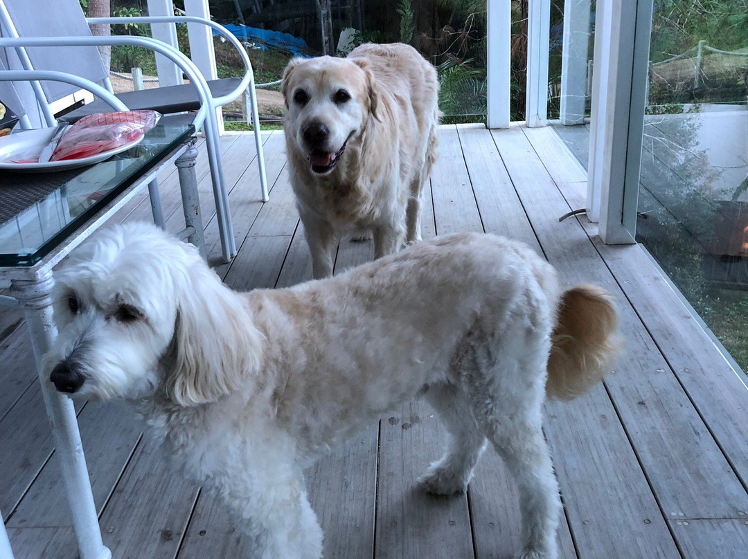 Eumundi Yacht Club主图