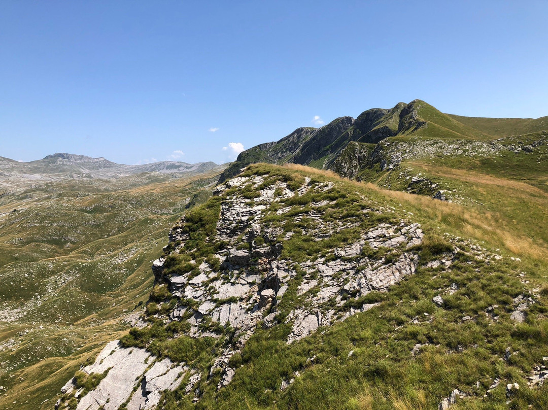 Monteguide Motorbike Tours景点图片