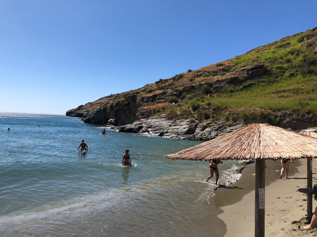 Paralia Chalkolimnionas-安德罗斯必去景点