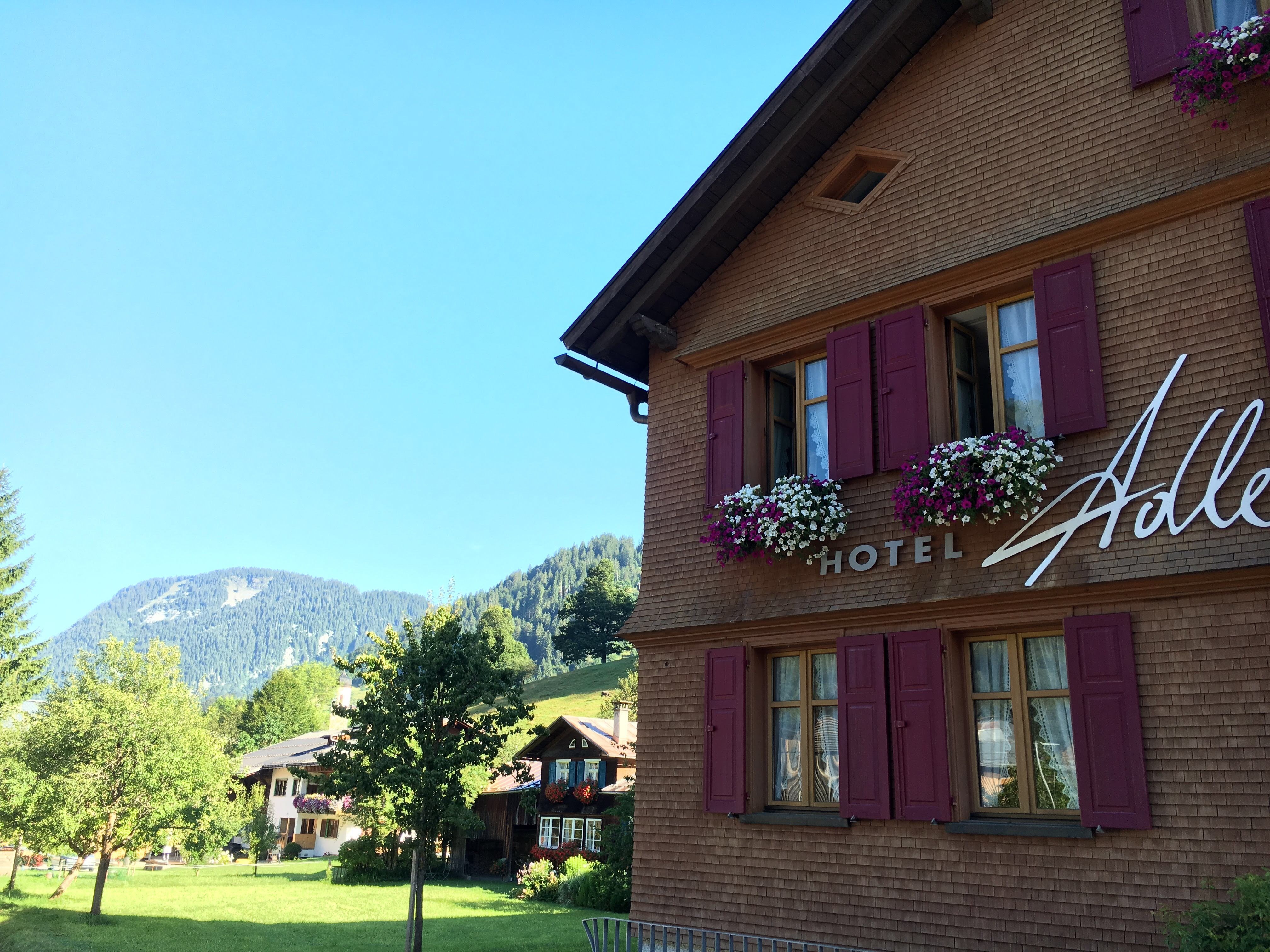 Hotel Gasthof Adler-浴室