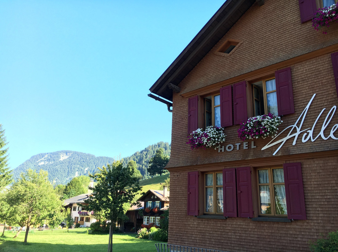 Hotel Gasthof Adler主图