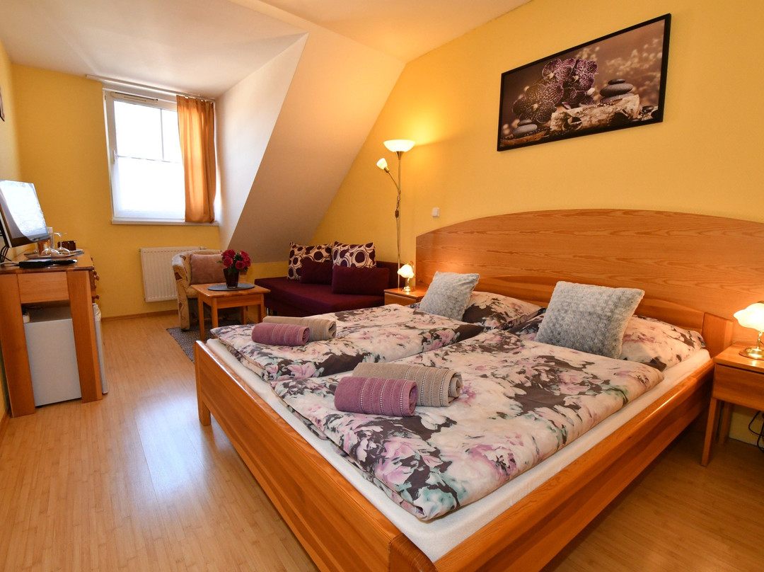 Velky Slavkov酒店住宿-Penzión Harmony