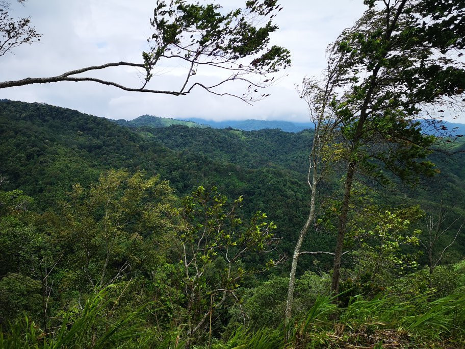 Mae Wong National Park景点图片