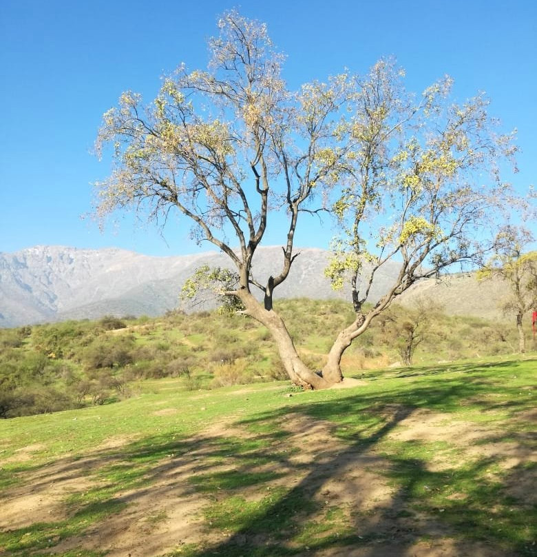 Panul Parque Publico Comunitario-La Florida必去景点