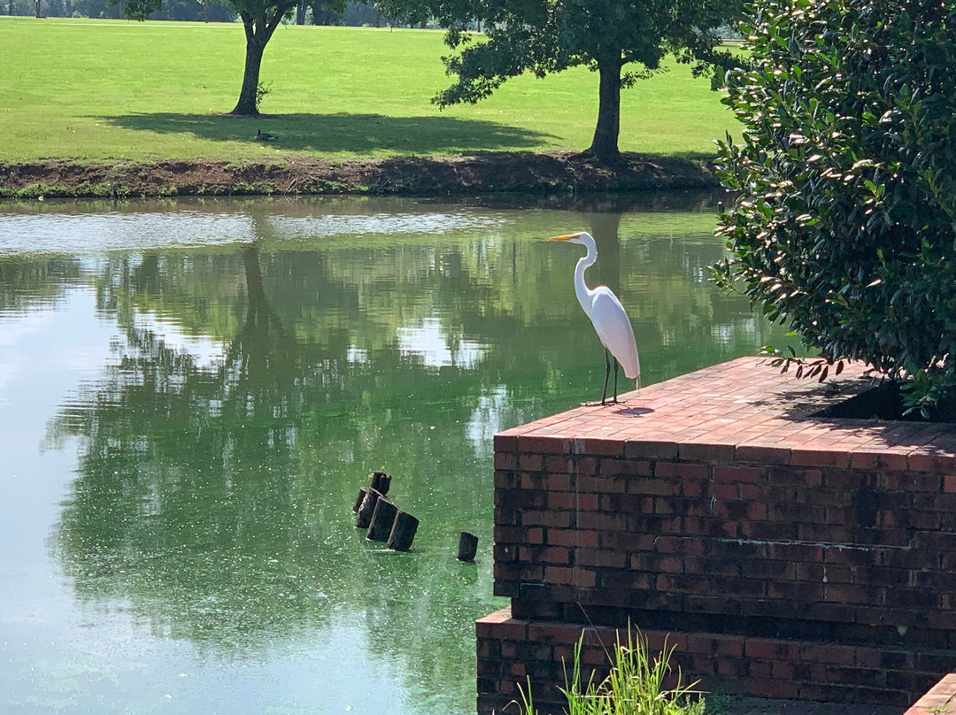 Alabama Shakespeare Festival-蒙哥马利必去景点
