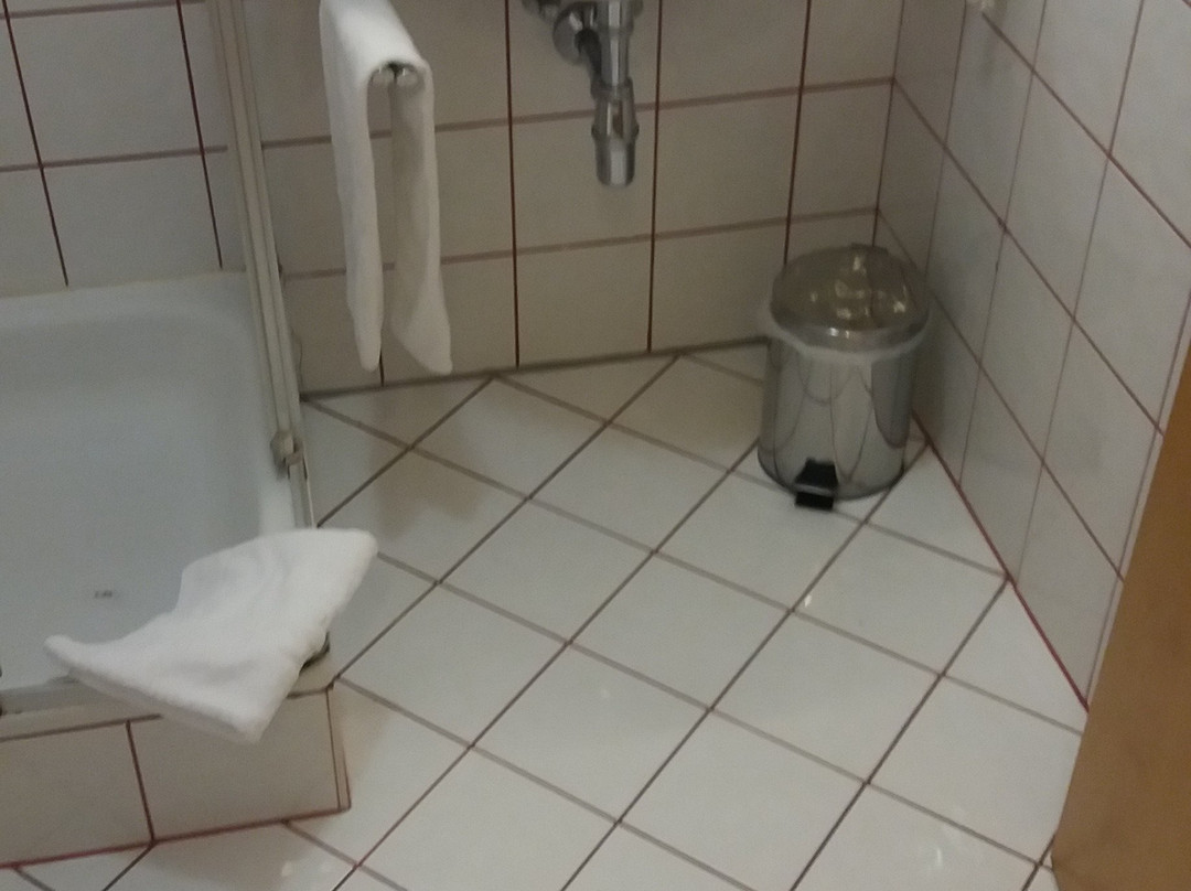 Hotel der Abtenauer主图