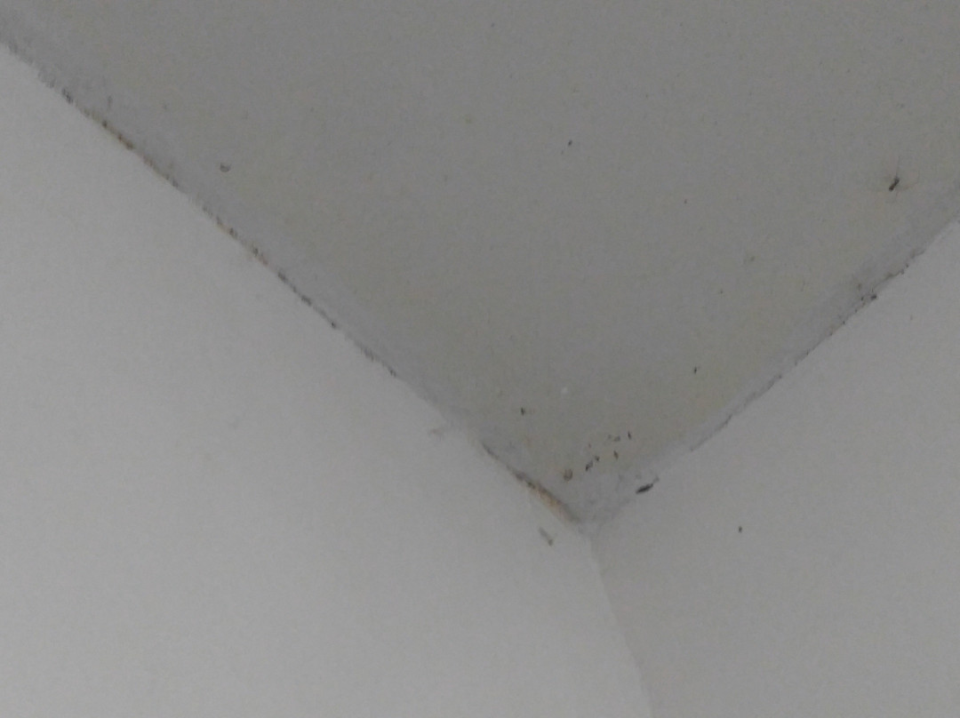 玛瑞安妮塔小屋酒店主图