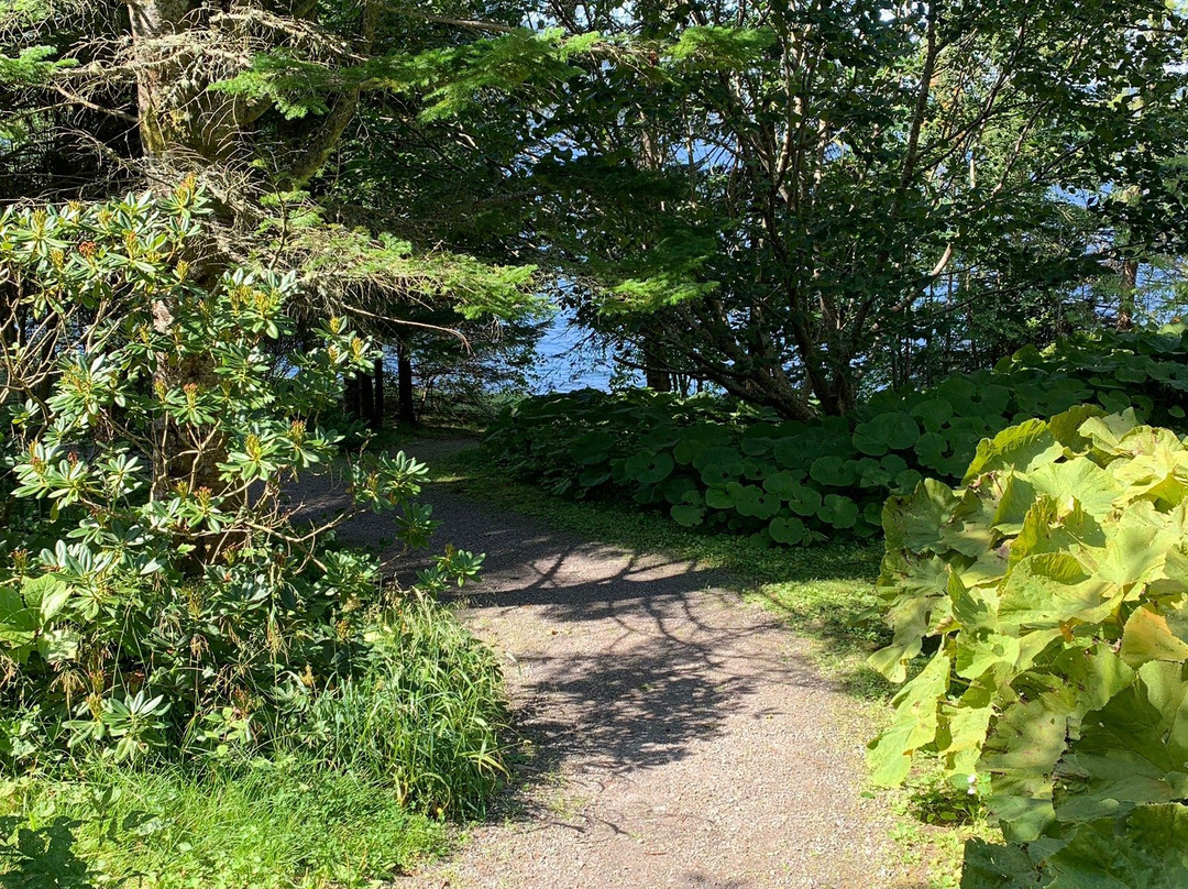 Nordmørsmusea - Svinviks Arboret景点图片