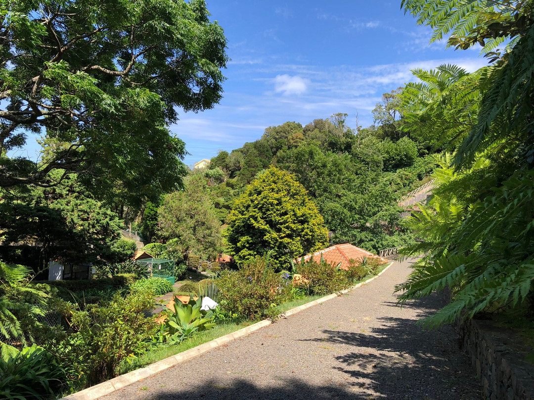 Reserva Florestal de Recreio Luis Paulo Camacho景点图片