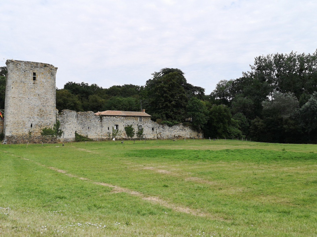 Château des Essarts景点图片