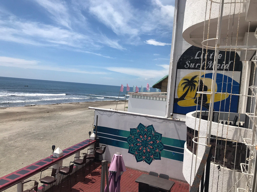 The Little Surfmaid Resort主图