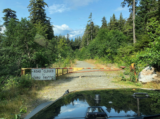 Unplugged Adventures-朱诺必去景点