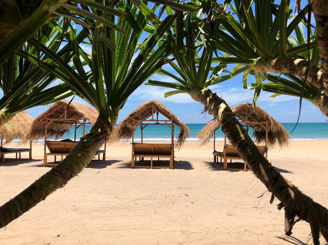 Nilaveli Sand Life主图