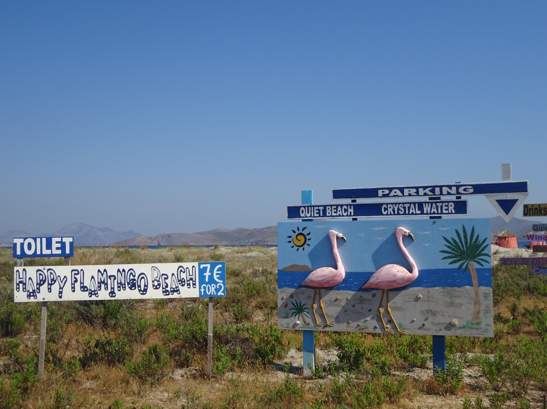 Happy Flamingo Beach景点图片