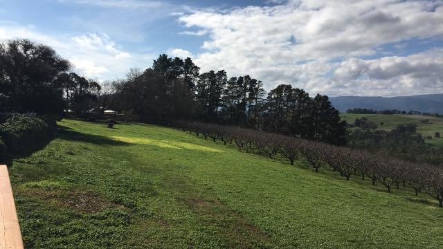 Seville Hill Winery-Seville必去景点