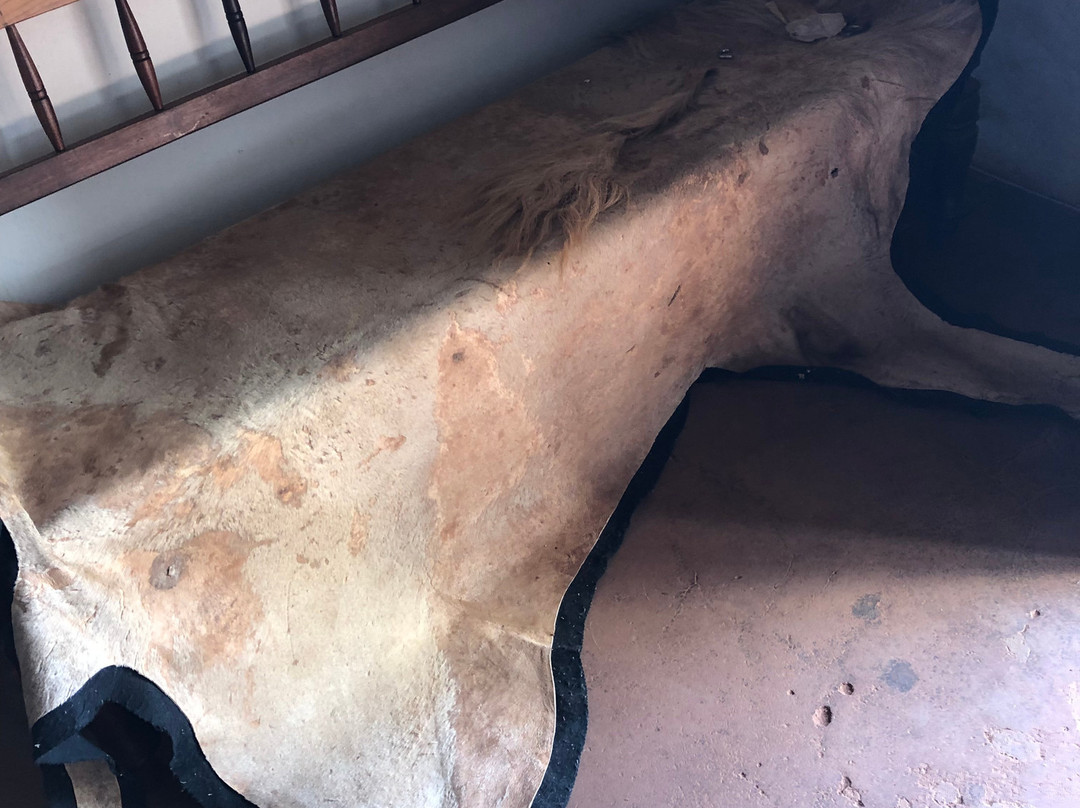 Paul Kruger Country House Museum-鲁斯登堡必去景点