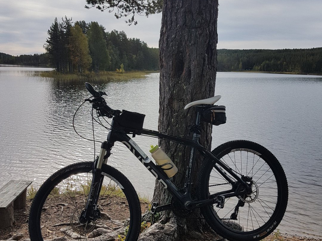 Rena旅游景点-Bergesjoen Lake
