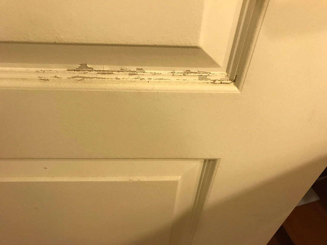 Comfort Suites South Point - Huntington主图