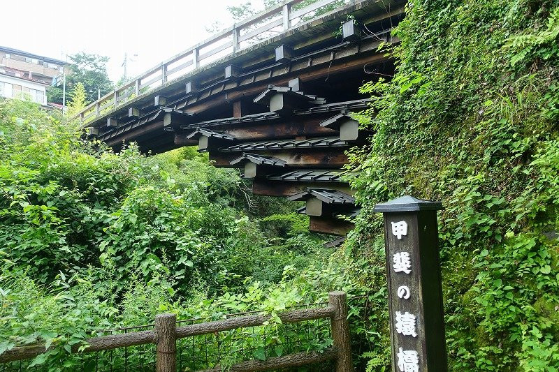 Saru Bridge景点图片