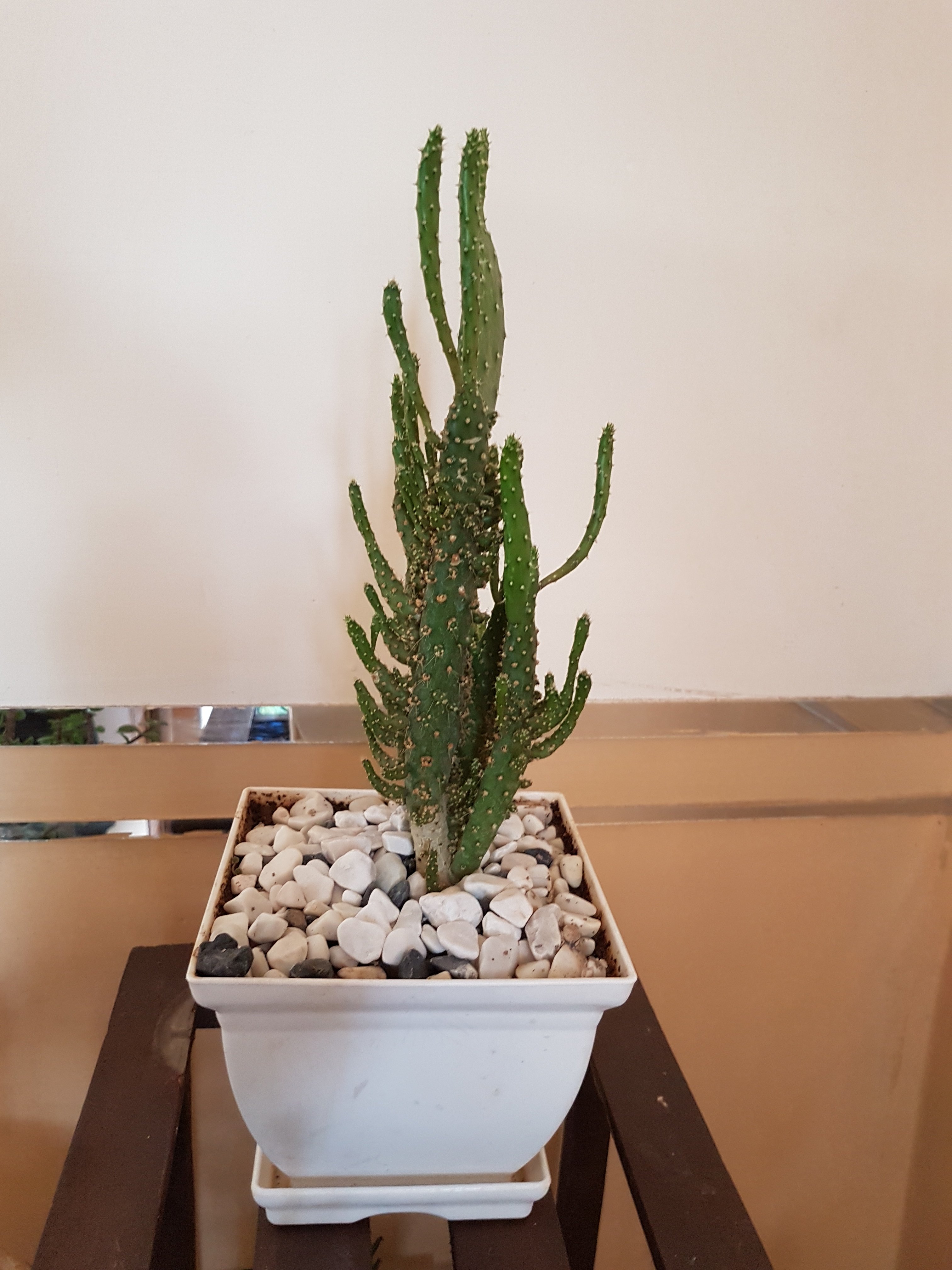 Sunrise Traditional Hotel-浴室