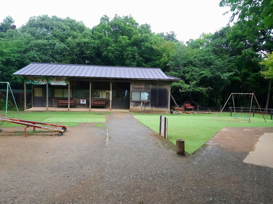 岚山岩田山猴子公园景点图片