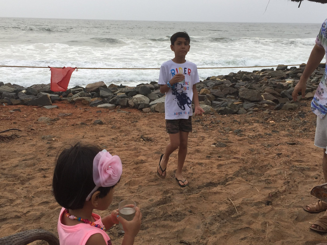 泰姬陵 - 格林湾酒店主图