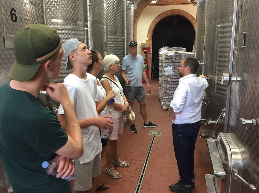 Vini di Toscana srl景点图片
