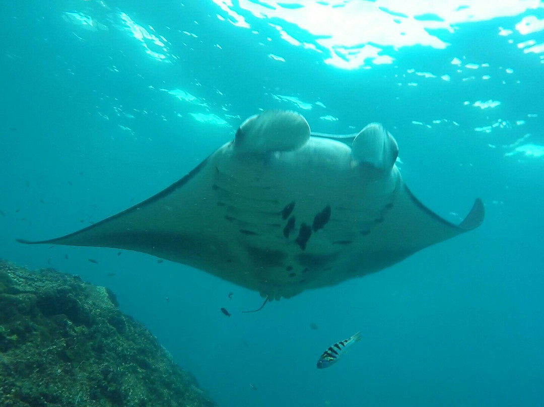 Nusa Penida Watersport-珀尼达岛必去景点
