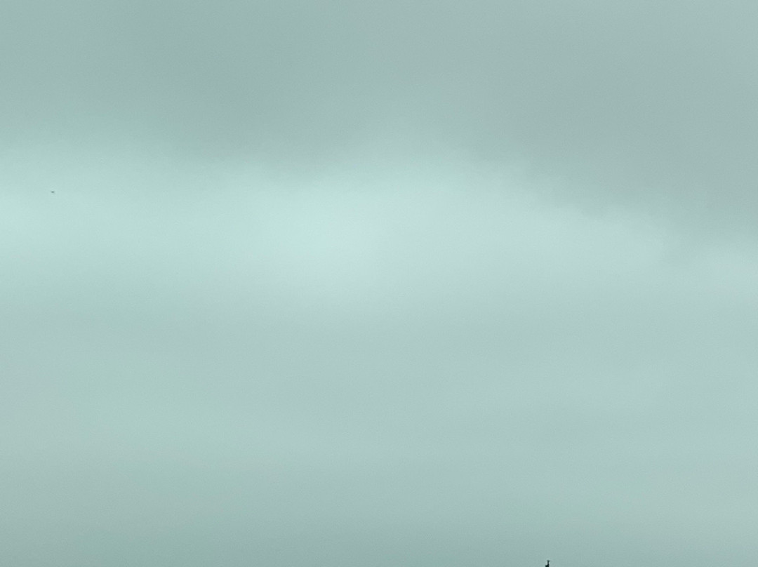 South Bay Salt Works-丘拉维斯塔必去景点