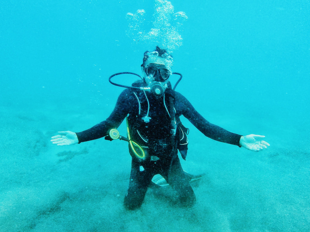 Diving Atlantis Tenerife-洛斯克里斯蒂亚诺斯必去景点