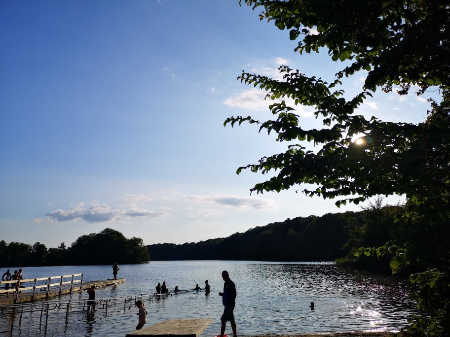 Gyllebo lake景点图片