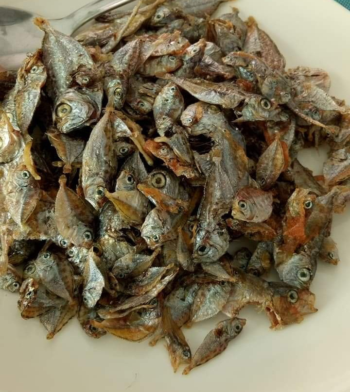 Aurora 2013 Guest House主图